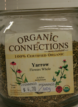 Yarrow Flower - Whole